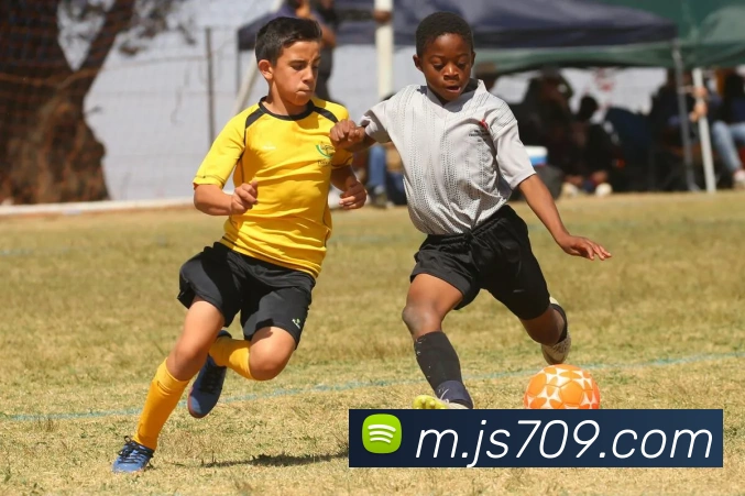 金沙集团服务体系